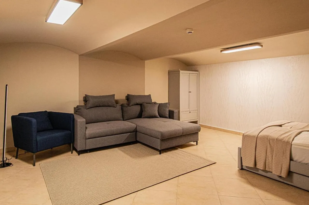 Modern And Spacious Apartments In City Center 프라하
