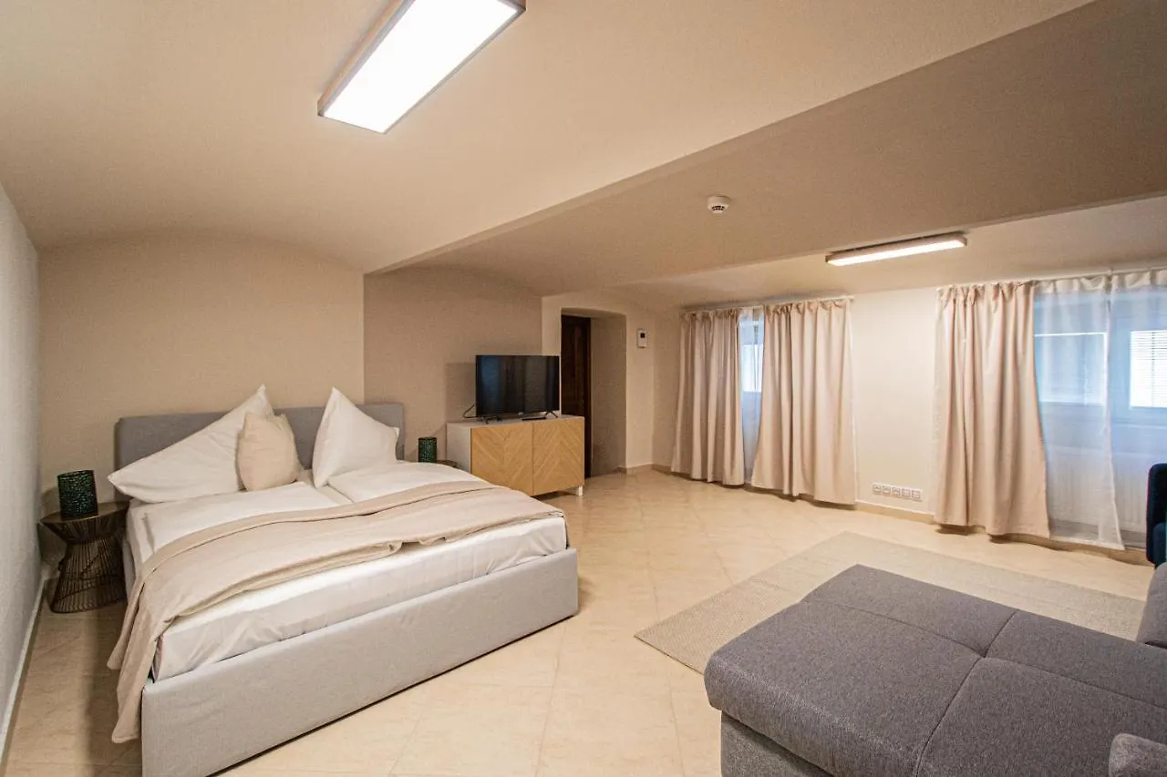 Modern And Spacious Apartments In City Center 프라하